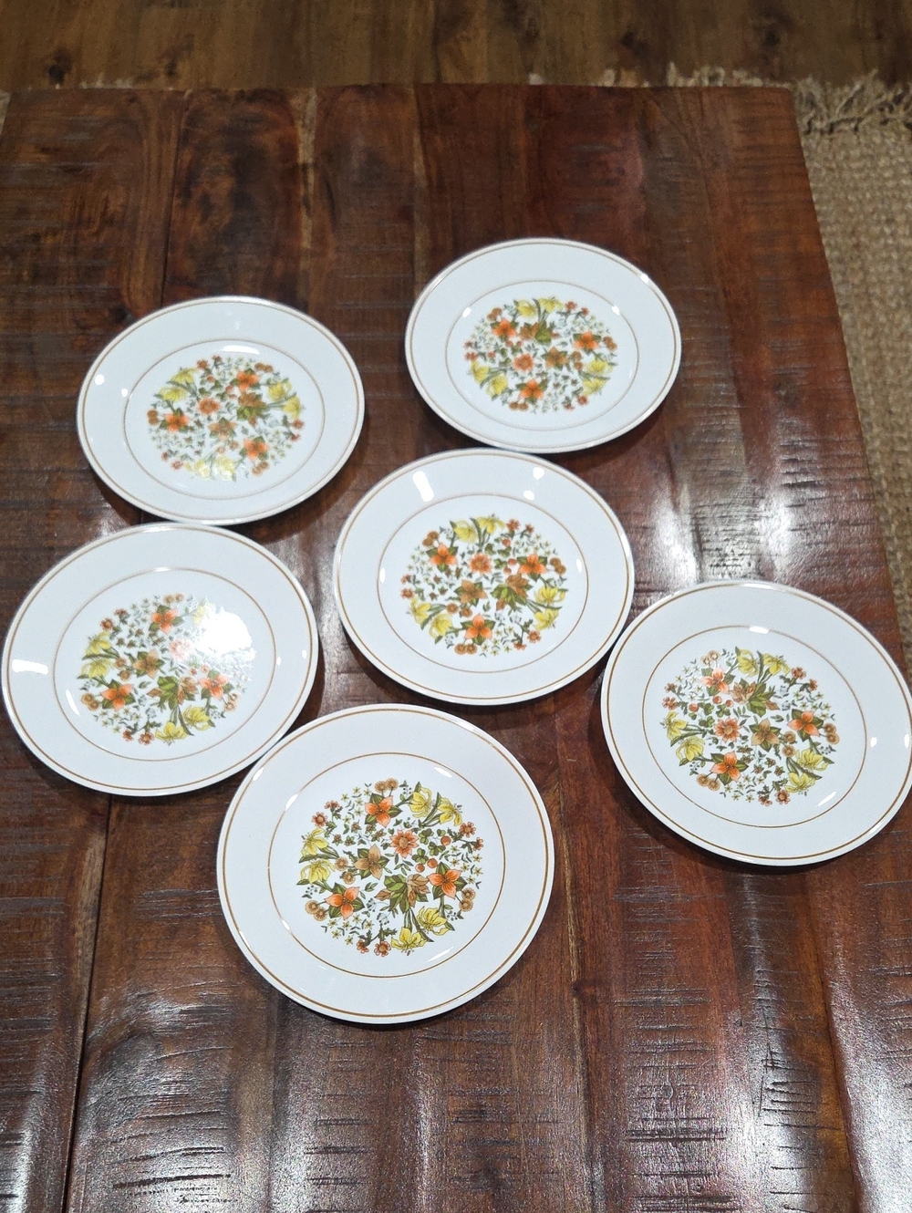 Retro Corelle Dinner Plates Indian Summer